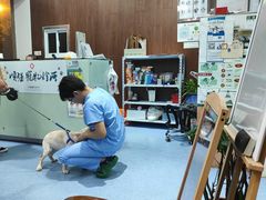 -顺强宠物诊所·狂犬免疫·夜诊·骨科(嘉定店)
