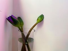 -YECLIP COFFEE黄色回形针咖啡