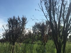 -汉长安城未央宫国家考古遗址公园