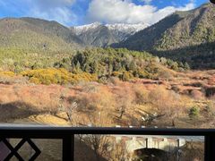 -林芝工布庄园希尔顿酒店-猎味中餐厅