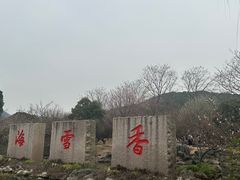 -香雪海