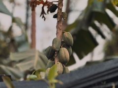 -广州市番禺中心医院(主院区)