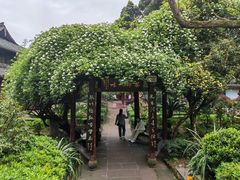 -峨眉山报国寺