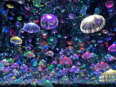-上海梵高星空艺术馆(南京路旗舰店)