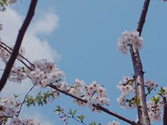 -蓝天路(地铁站)