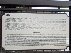 -正定古城-开元寺