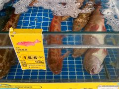 -阿浪海鲜连锁加工店(B栋2排1号火车头店)