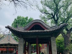 -晋祠公园