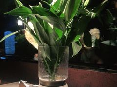 -都氏家DUSJOY(翡翠城店)