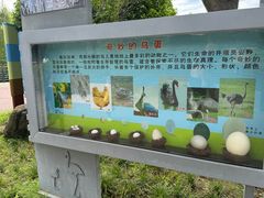 -苏州上方山国家森林公园