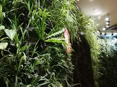 -稷泽·海丽宾雅温泉度假酒店