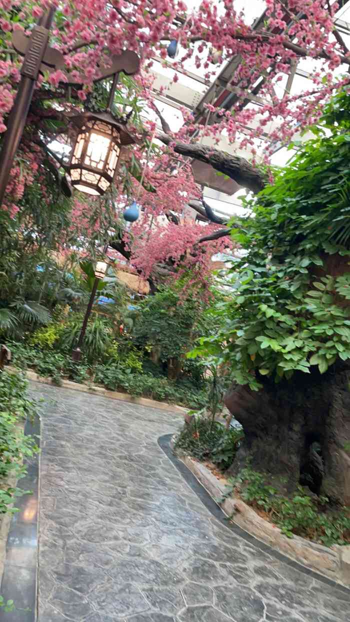 镜湖花园酒店-",本人于4月3日入住一晚,酒店位置在市中.