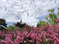 -国家植物园