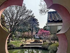 -无锡梅园公园