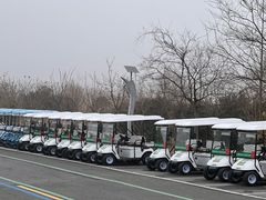 -盐城丹顶鹤湿地生态旅游区