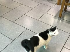 -吾穆勒蓬灰牛肉面·清真(北滨河中路店)