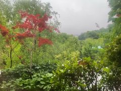 -麦积山温泉