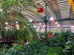 -兴芮温泉度假区