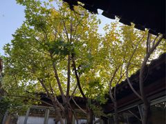 -VOYAGE COFFEE(杨梅竹店)