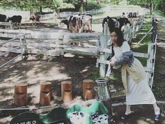 -神户市立六甲山牧场