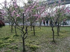 -美兰湖景区