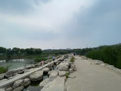 -永定河休闲森林公园