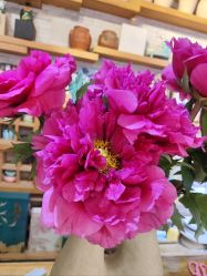 -今日陶艺(富力广场店)