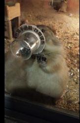 -酷嗒动物文化乐园(cutezoo西溪乐天城店)