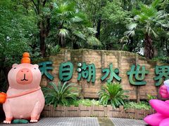 -天目湖水世界