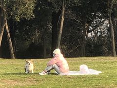 -蜀冈西峰生态公园