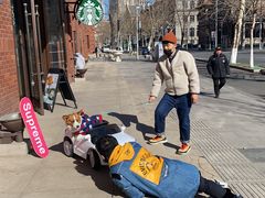 -超宠爱宠物摄影-Super pet