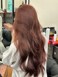 -IP SALON