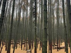-山王坪喀斯特国家生态公园