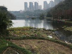 -重庆彩云湖湿地公园