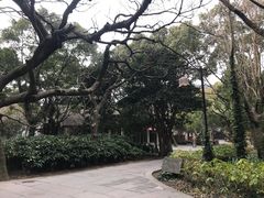 -普陀山风景区-佛顶山