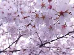 -上海体育场(地铁站)