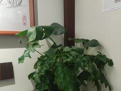 -三姐酒酿(老门东店)