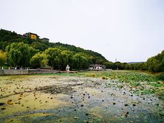 -北山公园
