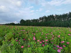 -长春世界雕塑园冰雪艺术天地