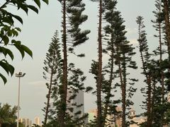 -万绿园