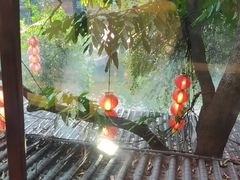 -侨美·唐荔园·40年地道粤菜