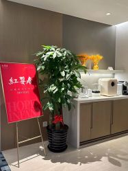 -星摇篮月子中心(紫竹万怡店)