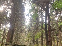 -上色见熊野座神社