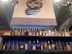 -猫咪博物馆(顶澳仔猫街店)