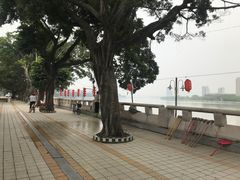-仑头海鲜城(仑头环村南路店)
