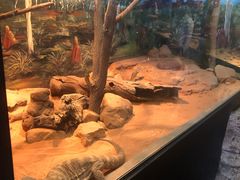 -费瑟代尔野生动物园