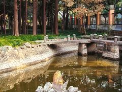 -上海财经大学(国定路校区)
