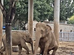 -石家庄市动物园