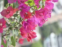 -福州美伦大饭店-中餐厅