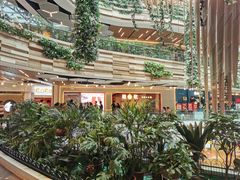 -龍歌自助小火锅(兰山上海路万达店)